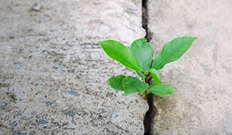 A hegterhesség klinikai jelentősége